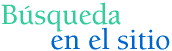 B&uacute;squeda en el sitio