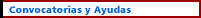 Convocatorias y ayudas