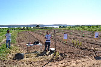 Visita a la finca agroecológica de INTIA en Sartaguda